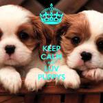 Akshay Bhagwan Profile Picture