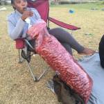 shadi Profile Picture