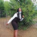 Lacoste Profile Picture